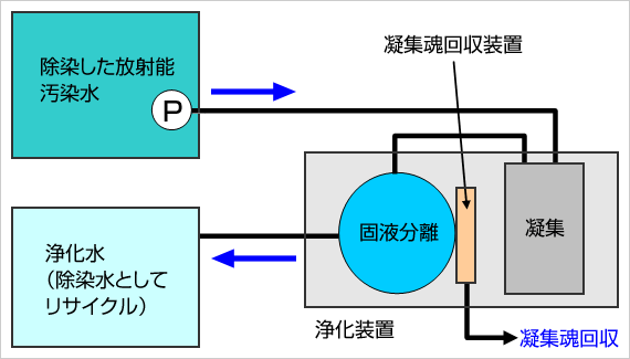 浄化フロー