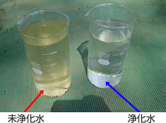 未浄化水と浄化水