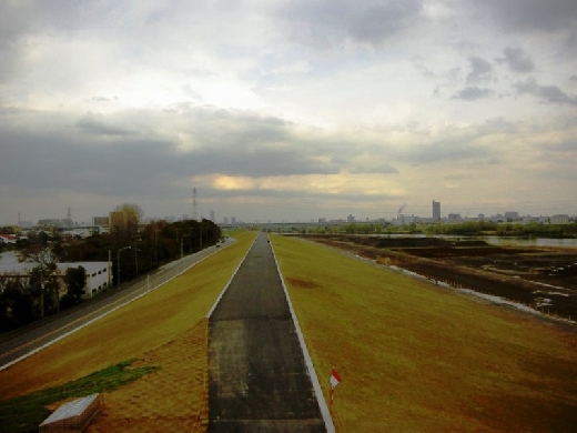 戸田公園堤防強化（Ｈ２１）工事（国土交通省　荒川下流河川事務所）H22.5