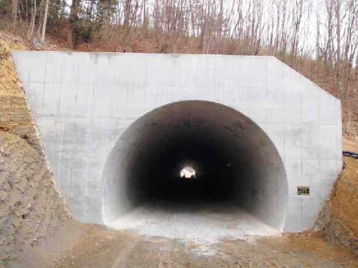 道路改築工事（２号トンネル（仮称））（埼玉県）H25.3