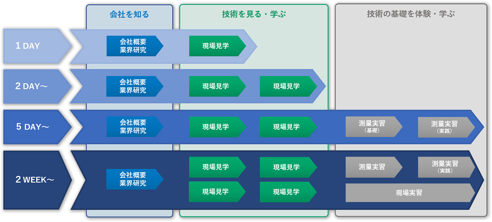 実習内容